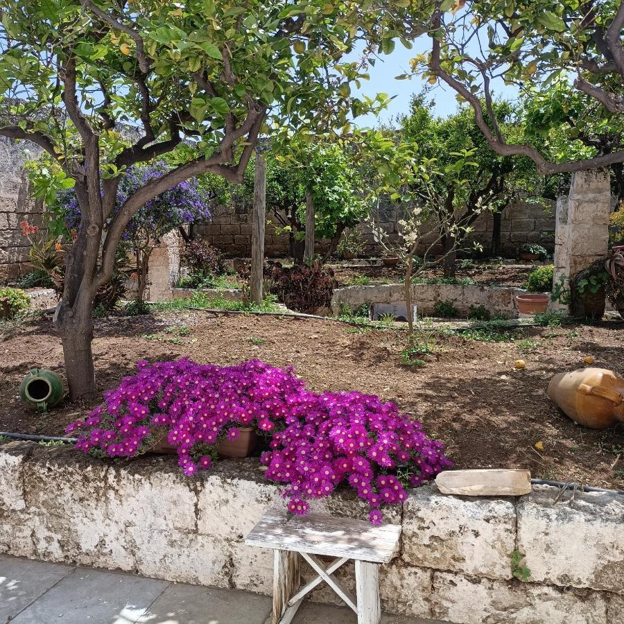 Masseria Ricci Fasano Exterior foto
